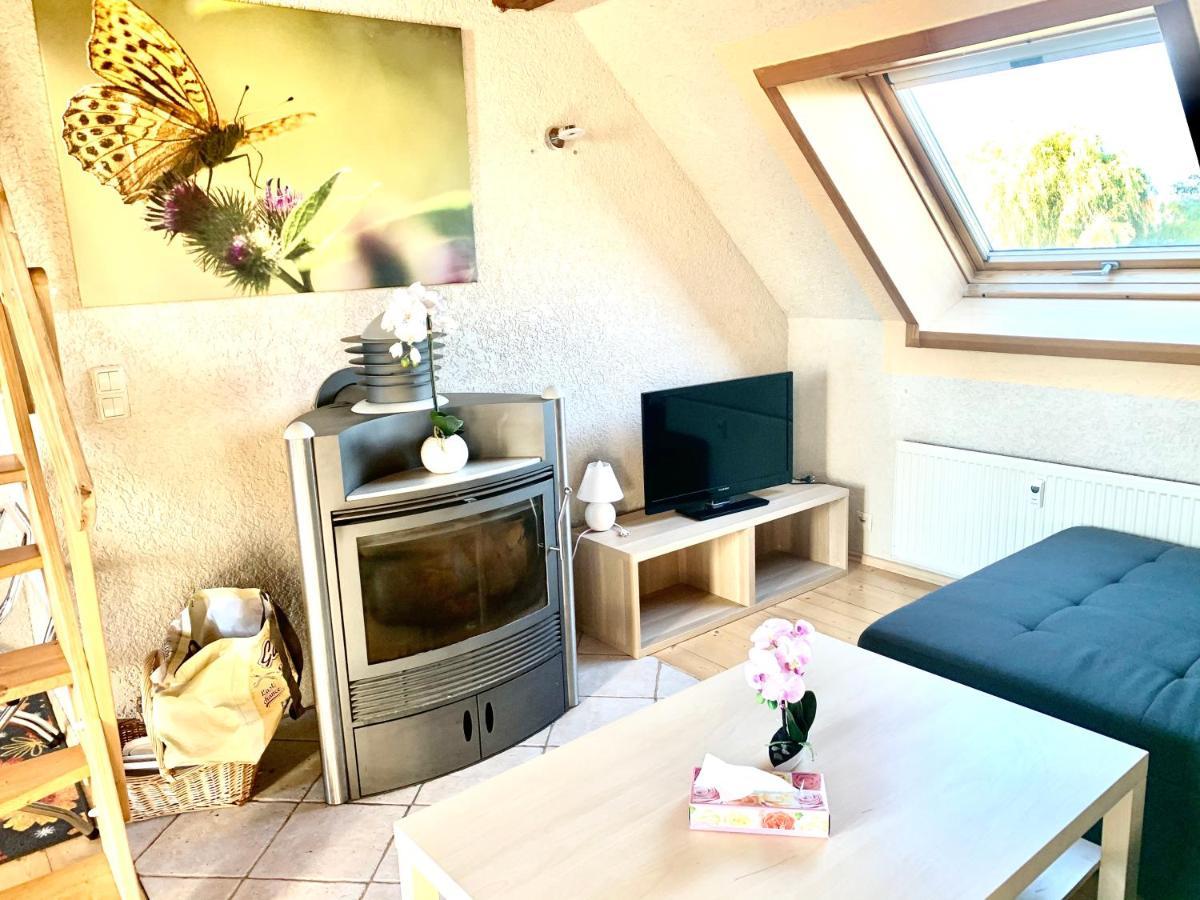 #World Ferienwohnung Schkeuditz Eksteriør billede